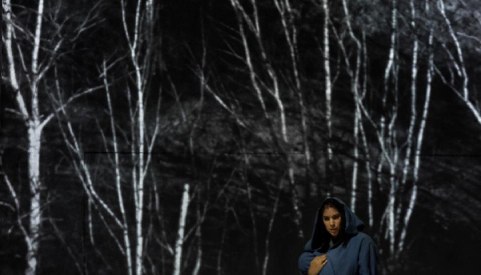 Une femme habillée en gris, assise, lève les bras. Un personnage habillé en bleu, semblant tenir un enfant, s'approche doucement par l'arrière. Le décor montre des vidéos d'arbres projetés, en noir et blanc.