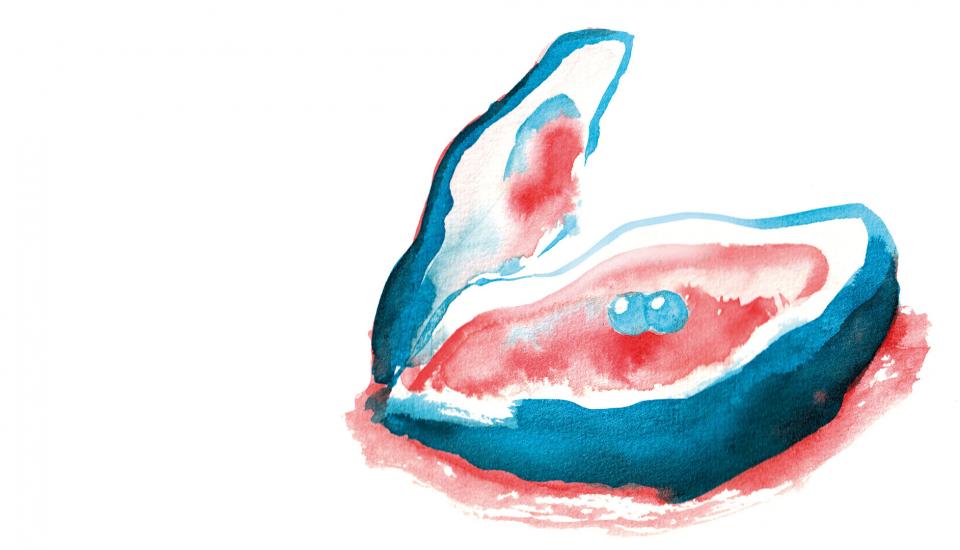 Illustration d'une huitre ouverte en bleu et rouge, avec deux perles en son centre
