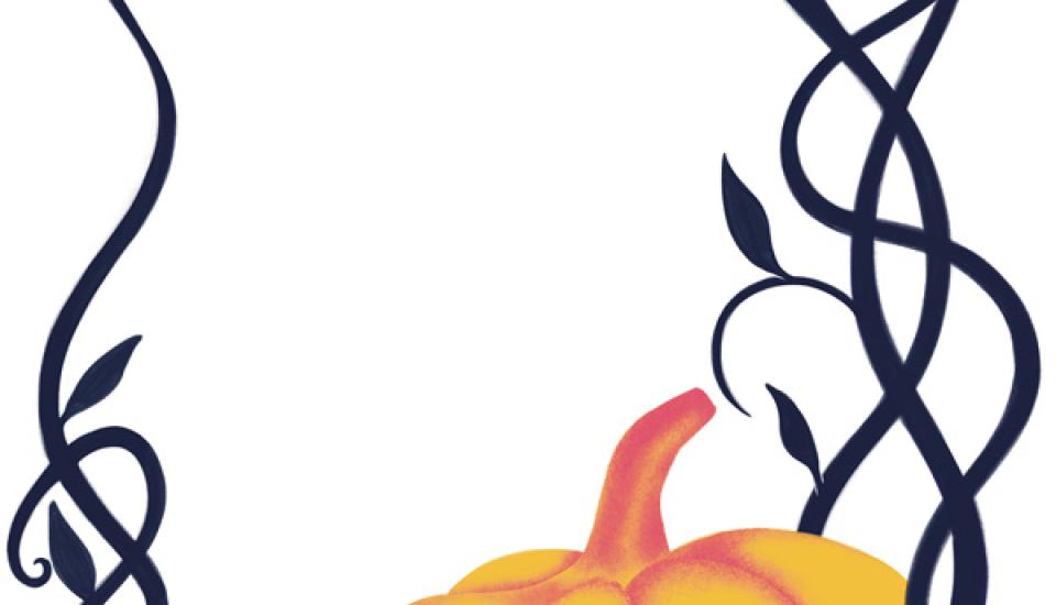 Visuel de la citrouille pour le spectacle de Cendrillon